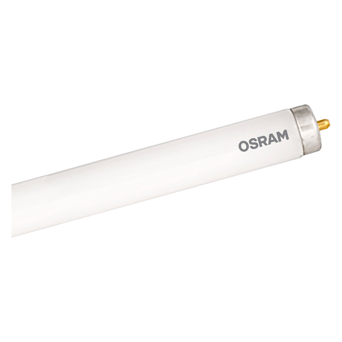 T8 Slimline 25 piezas x caja